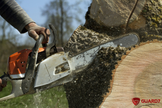 E-LEARNING RUČNÍ MOTOROVÁ ŘETĚZOVÁ PILA
